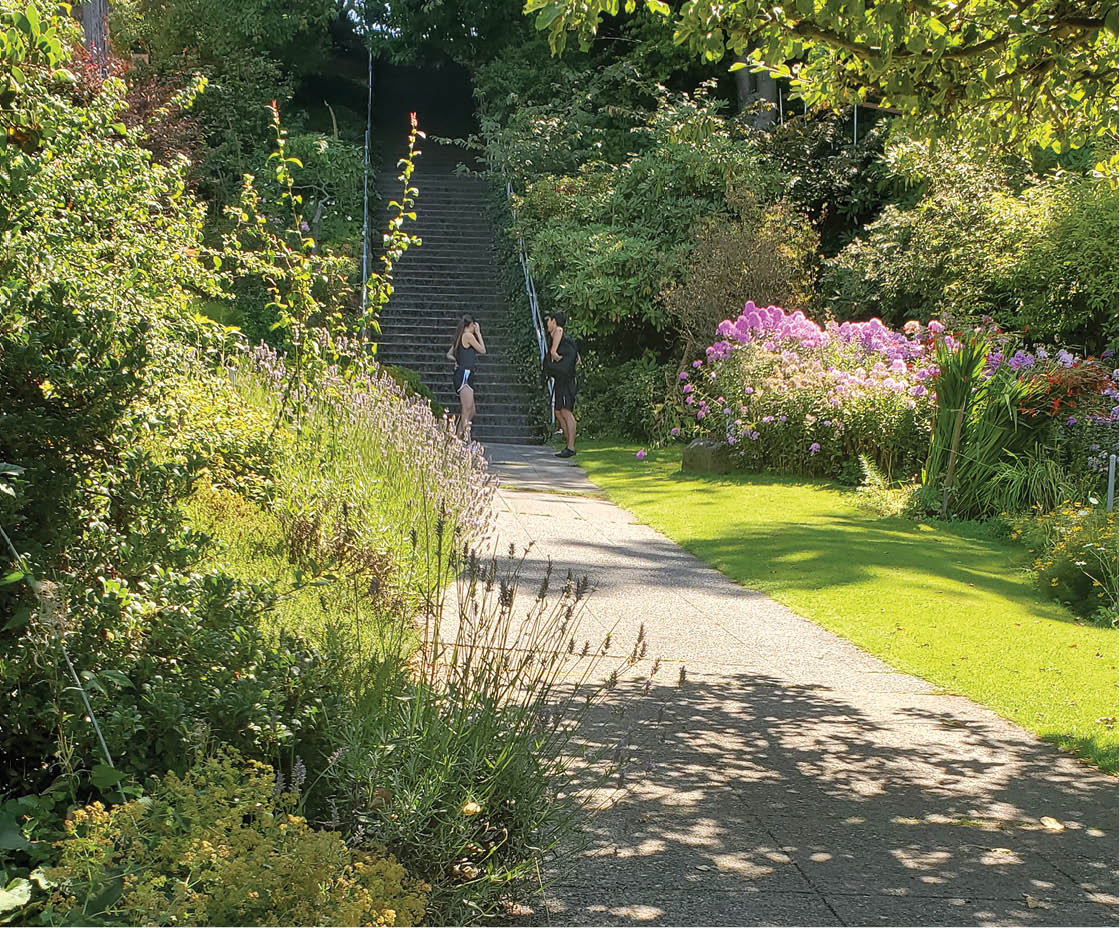 View along Blaine stairs, August 2019