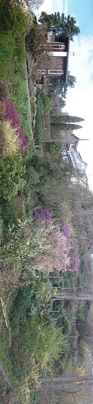 Panarama of the Garden